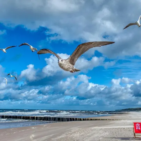 아파트 Sloneczny 231 - 5d *